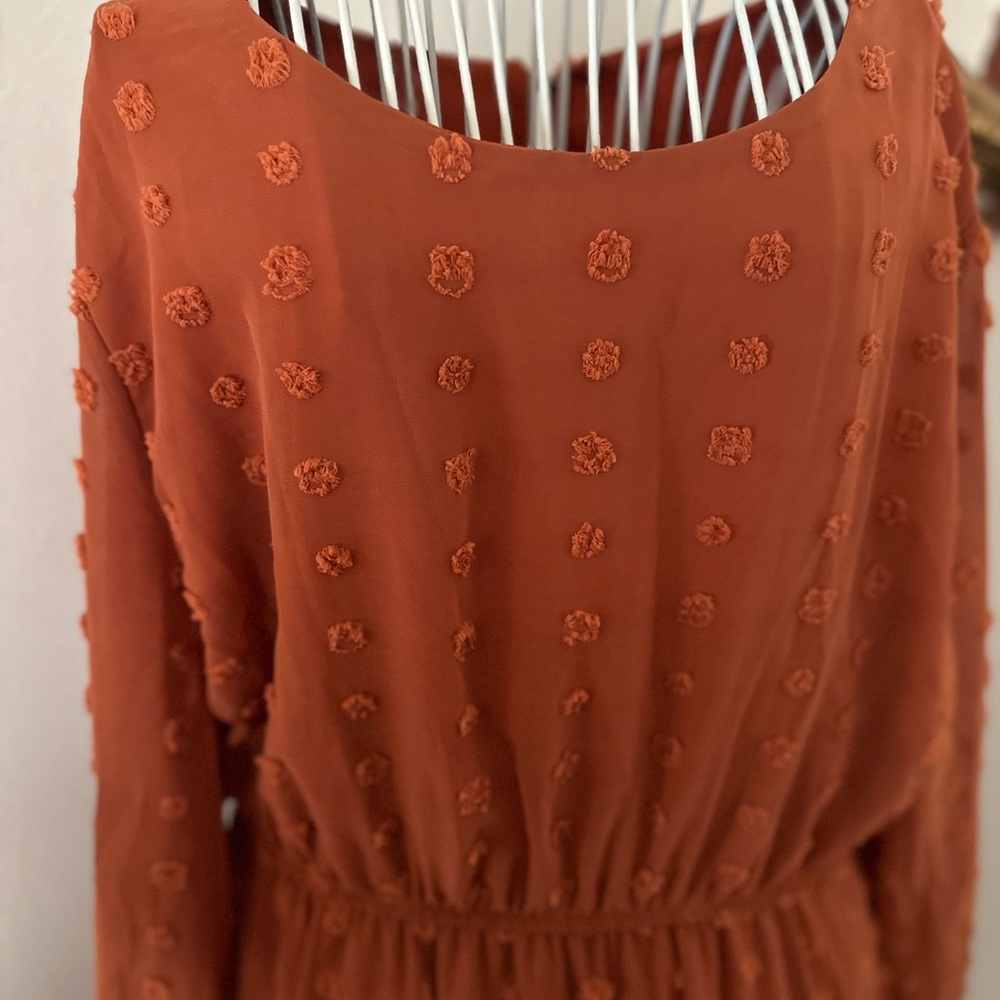 Rust Swiss dot dress - Picture 3 of 3